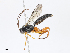  ( - CBG-A13225-A07)  @11 [ ] CreativeCommons - Attribution Share - Alike (2023) CBG Photography Group Centre for Biodiversity Genomics