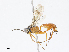  ( - CBG-A13225-A08)  @11 [ ] CreativeCommons - Attribution Share - Alike (2023) CBG Photography Group Centre for Biodiversity Genomics