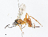  ( - CBG-A13225-A10)  @11 [ ] CreativeCommons - Attribution Share - Alike (2023) CBG Photography Group Centre for Biodiversity Genomics