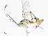  ( - CBG-A13226-A06)  @11 [ ] CreativeCommons - Attribution Share - Alike (2023) CBG Photography Group Centre for Biodiversity Genomics