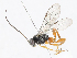  ( - CBG-A13226-A07)  @11 [ ] CreativeCommons - Attribution Share - Alike (2023) CBG Photography Group Centre for Biodiversity Genomics