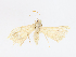  ( - CBG-A13233-E04)  @11 [ ] CreativeCommons - Attribution Share - Alike (2023) CBG Photography Group Centre for Biodiversity Genomics