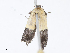  ( - CBG-A13235-D12)  @11 [ ] CreativeCommons - Attribution Share - Alike (2023) CBG Photography Group Centre for Biodiversity Genomics