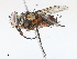  ( - CBG-A13235-G04)  @11 [ ] CreativeCommons - Attribution Share - Alike (2023) CBG Photography Group Centre for Biodiversity Genomics