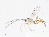  ( - CBG-A13236-A08)  @11 [ ] CreativeCommons - Attribution Share - Alike (2023) CBG Photography Group Centre for Biodiversity Genomics