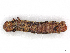  ( - CBG-A13237-F08)  @11 [ ] CreativeCommons - Attribution Share - Alike (2023) CBG Photography Group Centre for Biodiversity Genomics