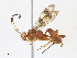  ( - CBG-A13238-B08)  @11 [ ] CreativeCommons - Attribution Share - Alike (2023) CBG Photography Group Centre for Biodiversity Genomics