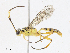  ( - CBG-A13238-C04)  @11 [ ] CreativeCommons - Attribution Share - Alike (2023) CBG Photography Group Centre for Biodiversity Genomics