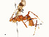  ( - CBG-A54399-B12)  @11 [ ] CreativeCommons - Attribution Share - Alike (2024) CBG Photography Group Centre for Biodiversity Genomics