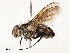  ( - CBG-A54399-D07)  @11 [ ] CreativeCommons - Attribution Share - Alike (2024) CBG Photography Group Centre for Biodiversity Genomics