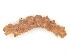  ( - CBG-A54399-H07)  @11 [ ] CreativeCommons - Attribution (2024) CBG Photography Group Centre for Biodiversity Genomics