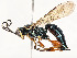  ( - CBG-A54400-C06)  @11 [ ] CreativeCommons - Attribution Share - Alike (2024) CBG Photography Group Centre for Biodiversity Genomics