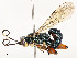  ( - CBG-A54400-D12)  @11 [ ] CreativeCommons - Attribution Share - Alike (2024) CBG Photography Group Centre for Biodiversity Genomics