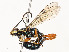  ( - CBG-A54400-H01)  @11 [ ] CreativeCommons - Attribution Share - Alike (2024) CBG Photography Group Centre for Biodiversity Genomics