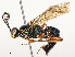  ( - CBG-A54505-B12)  @11 [ ] CreativeCommons - Attribution Share - Alike (2024) CBG Photography Group Centre for Biodiversity Genomics