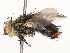  ( - CBG-A54505-C03)  @11 [ ] CreativeCommons - Attribution Share - Alike (2024) CBG Photography Group Centre for Biodiversity Genomics