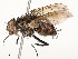  ( - CBG-A54505-C06)  @11 [ ] CreativeCommons - Attribution Share - Alike (2024) CBG Photography Group Centre for Biodiversity Genomics