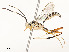  ( - CBG-A54505-G11)  @11 [ ] CreativeCommons - Attribution Share - Alike (2024) CBG Photography Group Centre for Biodiversity Genomics
