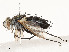  ( - CBG-A54506-D06)  @11 [ ] CreativeCommons - Attribution Share - Alike (2024) CBG Photography Group Centre for Biodiversity Genomics