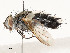  ( - CBG-A54506-D07)  @11 [ ] CreativeCommons - Attribution Share - Alike (2024) CBG Photography Group Centre for Biodiversity Genomics