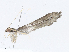  ( - CBG-A08794-E06)  @11 [ ] CreativeCommons - Attribution Share - Alike (2023) CBG Photography Group Centre for Biodiversity Genomics