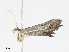  ( - CBG-A08795-C07)  @11 [ ] CreativeCommons - Attribution Share - Alike (2023) CBG Photography Group Centre for Biodiversity Genomics