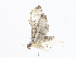  ( - CBG-A10805-A07)  @11 [ ] CreativeCommons - Attribution Share - Alike (2023) CBG Photography Group Centre for Biodiversity Genomics