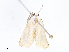  ( - CBG-A10805-H05)  @11 [ ] CreativeCommons - Attribution Share - Alike (2023) CBG Photography Group Centre for Biodiversity Genomics