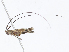  ( - CBG-A10806-B06)  @11 [ ] CreativeCommons - Attribution Share-Alike (2023) CBG Photography Group Centre for Biodiversity Genomics