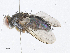  (Anisia Malaise5799 - CBG-A10806-E07)  @11 [ ] CreativeCommons - Attribution Share-Alike (2023) CBG Photography Group Centre for Biodiversity Genomics