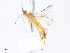  ( - CBG-A10806-E08)  @11 [ ] CreativeCommons - Attribution Share-Alike (2023) CBG Photography Group Centre for Biodiversity Genomics
