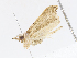  ( - CBG-A10806-F01)  @11 [ ] CreativeCommons - Attribution Share-Alike (2023) CBG Photography Group Centre for Biodiversity Genomics