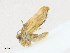  ( - CBG-A16688-G03)  @11 [ ] CreativeCommons - Attribution Share - Alike (2023) CBG Photography Group Centre for Biodiversity Genomics