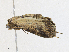  ( - CBG-A16689-C01)  @11 [ ] CreativeCommons - Attribution Share - Alike (2023) CBG Photography Group Centre for Biodiversity Genomics