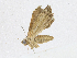  ( - CBG-A16689-C07)  @11 [ ] CreativeCommons - Attribution Share - Alike (2023) CBG Photography Group Centre for Biodiversity Genomics