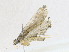  ( - CBG-A16690-E05)  @11 [ ] CreativeCommons - Attribution Share - Alike (2023) CBG Photography Group Centre for Biodiversity Genomics