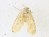  ( - CBG-A16703-C11)  @11 [ ] CreativeCommons - Attribution Share - Alike (2023) CBG Photography Group Centre for Biodiversity Genomics