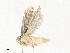  ( - CBG-A34357-C08)  @11 [ ] CreativeCommons - Attribution Share - Alike (2024) CBG Photography Group Centre for Biodiversity Genomics