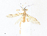  ( - CBG-A34357-G12)  @11 [ ] CreativeCommons - Attribution Share - Alike (2024) CBG Photography Group Centre for Biodiversity Genomics