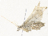  ( - CBG-A34358-A07)  @11 [ ] CreativeCommons - Attribution Share - Alike (2024) CBG Photography Group Centre for Biodiversity Genomics
