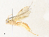  ( - CBG-A34358-D06)  @11 [ ] CreativeCommons - Attribution Share - Alike (2024) CBG Photography Group Centre for Biodiversity Genomics