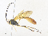  ( - CBG-A35187-G11)  @11 [ ] CreativeCommons - Attribution Share - Alike (2024) CBG Photography Group Centre for Biodiversity Genomics