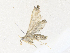  ( - CBG-A35188-B04)  @11 [ ] CreativeCommons - Attribution Share - Alike (2024) CBG Photography Group Centre for Biodiversity Genomics