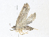  ( - CBG-A38473-F10)  @11 [ ] CreativeCommons - Attribution Share - Alike (2024) CBG Photography Group Centre for Biodiversity Genomics