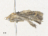  ( - CBG-A38473-G02)  @11 [ ] CreativeCommons - Attribution Share - Alike (2024) CBG Photography Group Centre for Biodiversity Genomics