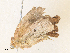  ( - CBG-A38473-H07)  @11 [ ] CreativeCommons - Attribution Share - Alike (2024) CBG Photography Group Centre for Biodiversity Genomics