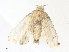  ( - CBG-A38474-D09)  @11 [ ] CreativeCommons - Attribution Share - Alike (2024) CBG Photography Group Centre for Biodiversity Genomics
