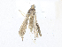  ( - CBG-A38475-G12)  @11 [ ] CreativeCommons - Attribution Share - Alike (2024) CBG Photography Group Centre for Biodiversity Genomics