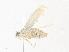  ( - CBG-A38476-G11)  @11 [ ] CreativeCommons - Attribution Share - Alike (2024) CBG Photography Group Centre for Biodiversity Genomics