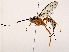  ( - BIOUG62725-E08)  @11 [ ] CreativeCommons - Attribution (2021) CBG Photography Group Centre for Biodiversity Genomics